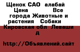 Щенок САО (алабай) › Цена ­ 10 000 - Все города Животные и растения » Собаки   . Кировская обл.,Леваши д.